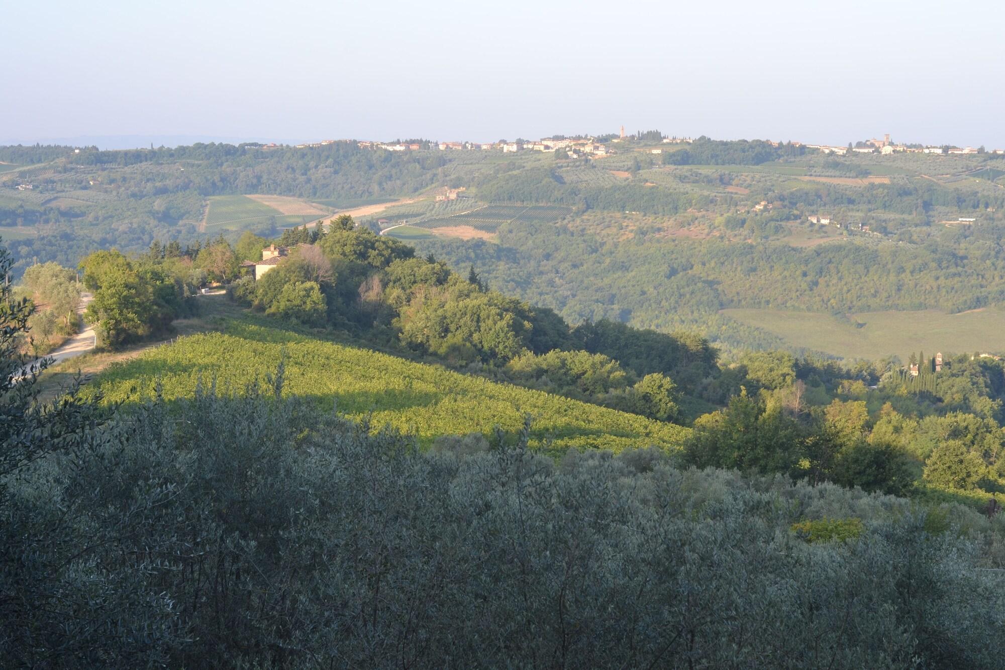Villa Il Poggiale Dimora Storica Сан-Кашиано-ин-Валь-ди-Пеза Экстерьер фото